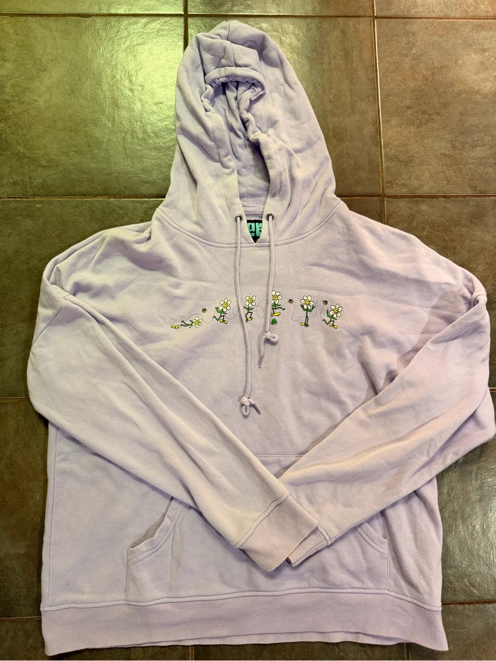 A.LAB Zumiez lavender hoodie with embroidered flowers and green stems